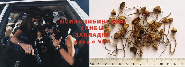 мяу мяу мука Каменск-Шахтинский