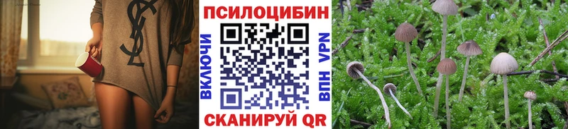 Галлюциногенные грибы прущие грибы Купить закладки Зеленоградск